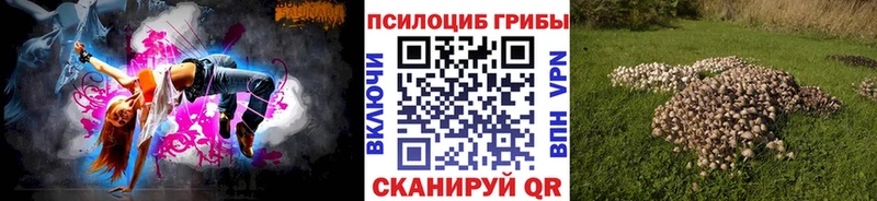 KRAKEN ТОР  Мариинск  Псилоцибиновые грибы ЛСД 